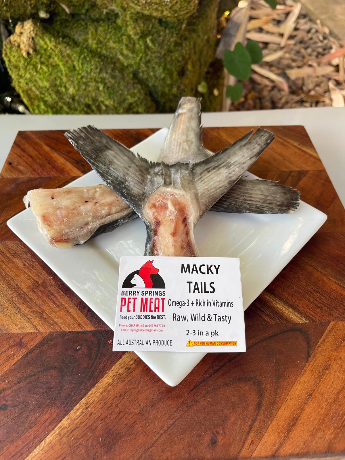 MACKY TAILS